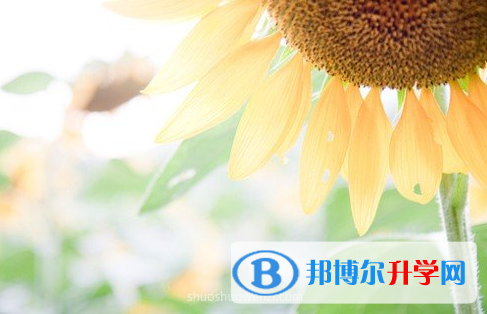 瀘州2021年沒有學(xué)籍可以參加中考嗎