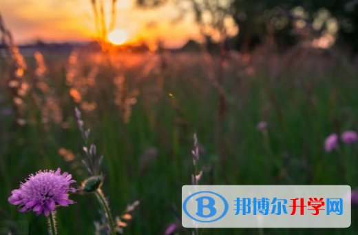 瀘州2021年中考報名網(wǎng)站是什么