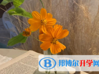 瀘州2021年中考模擬填報志愿