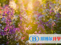 瀘州2021年中考志愿可以填幾個