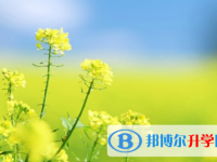瀘州2021年中考志愿填報技巧