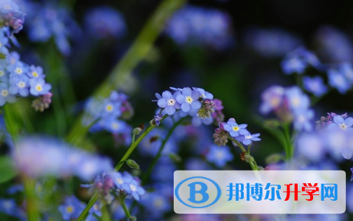 德陽(yáng)2021年中考成績(jī)查詢(xún)網(wǎng)址