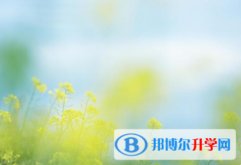德陽2021年中考網上報名系統