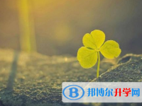 綿陽2021年網(wǎng)上查詢中考成績