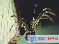 綿陽2021年怎樣從網(wǎng)上查詢中考成績
