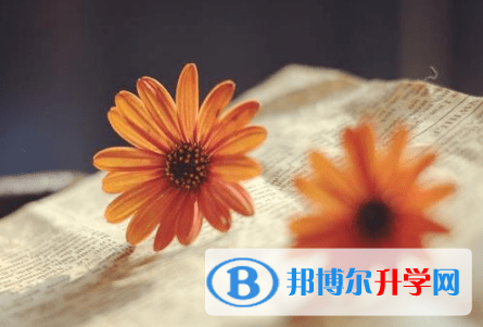 綿陽2021年中考報(bào)名查詢