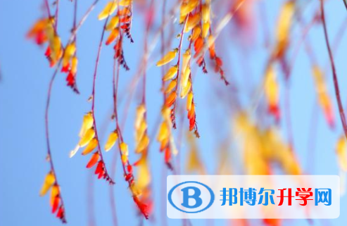 綿陽2021年如何填中考學(xué)校