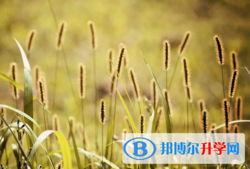 綿陽(yáng)2021年今年中考難度