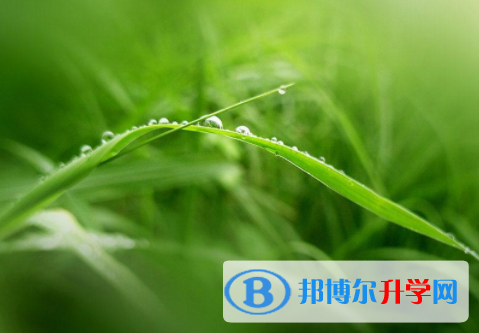 綿陽2021年中考各科高頻考點