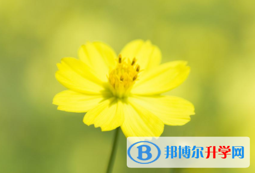 綿陽2021年中考后的出路