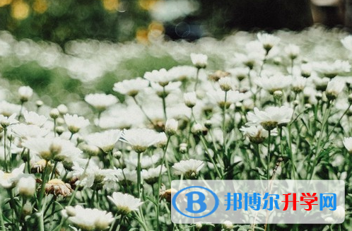 綿陽(yáng)2022年中考生活注意事項(xiàng)