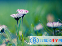 綿陽(yáng)2022年中考志愿查詢(xún)