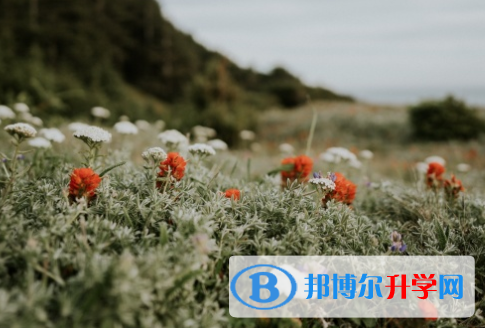 綿陽2022年中考志愿能不能修改