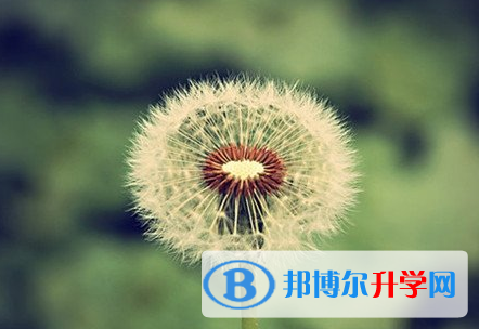 廣元2022年中考查詢成績網址