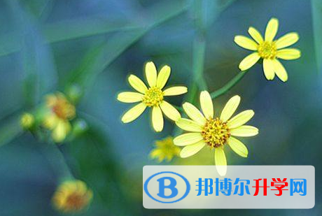 廣元2022年中考成績什么時候出來