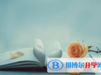 廣元2022年中考成績查詢網址