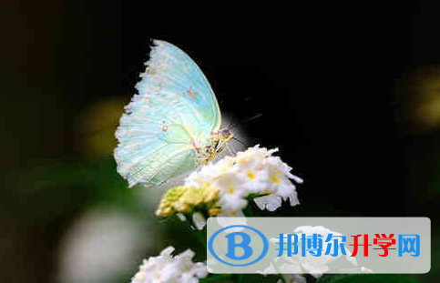 廣元2022年中考后幾天出成績