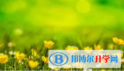 廣元2022年中考報考人數
