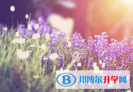 廣元2022年中考查詢系統(tǒng)的密碼記不到了怎么辦