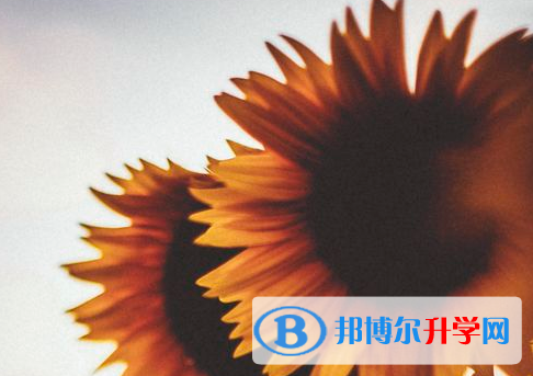 廣元2022年中考考生人數