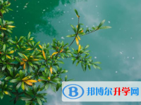 廣元2022年中考錄取時間