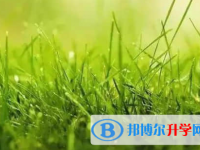廣元2022年中考派的學校有哪些學校