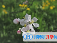 廣元2022年中考人數