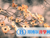 廣元2022年中考時間表