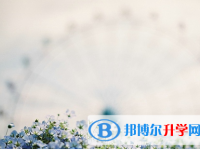 廣元2022年未參加中考可以讀啥學校
