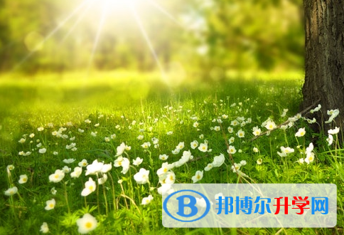 廣元2022年中考調劑志愿是什么意思