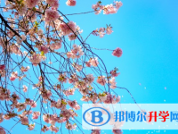 廣元2022年中考怎么填志愿才可以上到好的學校
