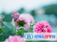 遂寧2022年怎樣對待中考成績