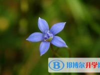 遂寧2022年中考填志愿統招和調劑