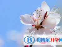 遂寧2022年中考網絡登錄