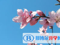 遂寧2022年中考網絡服務平臺