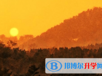 內江2022年外地生中考怎沒成績