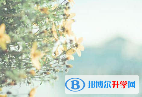 2022年內江中考成績公布時間