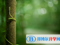 2022年內江中考查詢電話