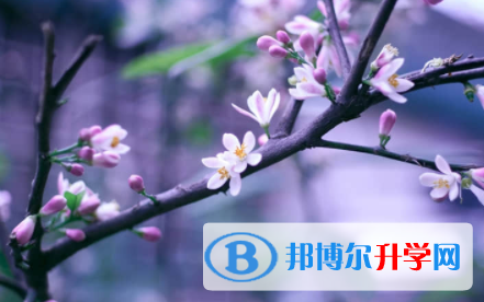 內(nèi)江2022年中考考試成績