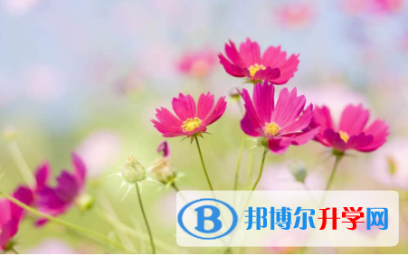 內江2022年中考錄取結果查詢
