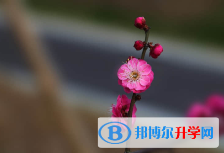 內(nèi)江2022年中考重點(diǎn)線是多少