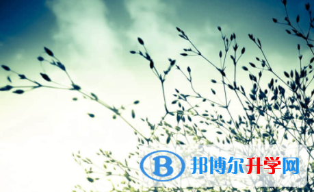 內(nèi)江2022年中考準考證信息