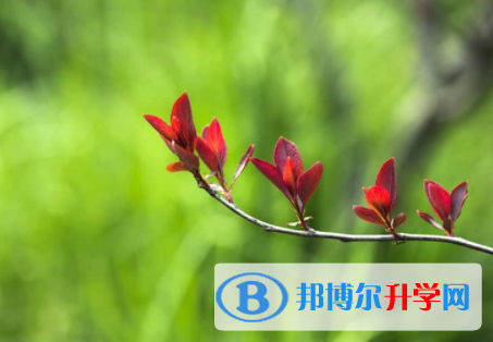 內江2022年中考自主招生成績