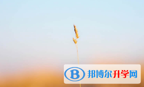 內(nèi)江2022年中考怎么辦