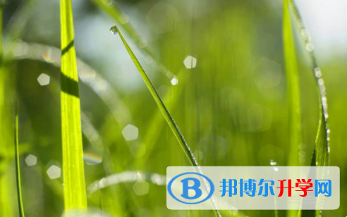 內江2022年中考怎么作弊是最好的