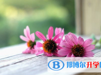 內江2022年中考是多少科