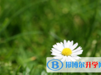 內(nèi)江2022年中考后可以上什么學(xué)校