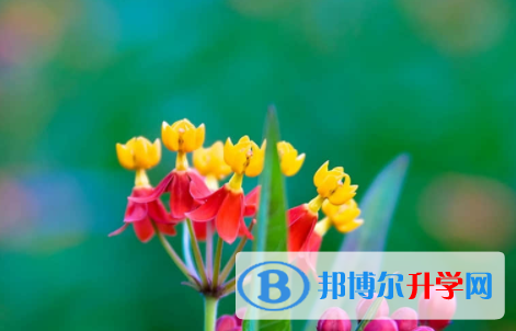 內江2022年今年中考時間是幾號