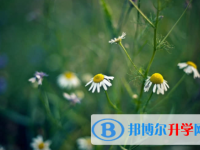 內(nèi)江2022年孩子因病錯(cuò)過中考怎么辦