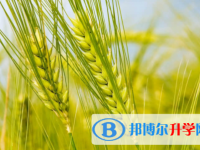 內(nèi)江2022年孩子中考沒考好如何安慰